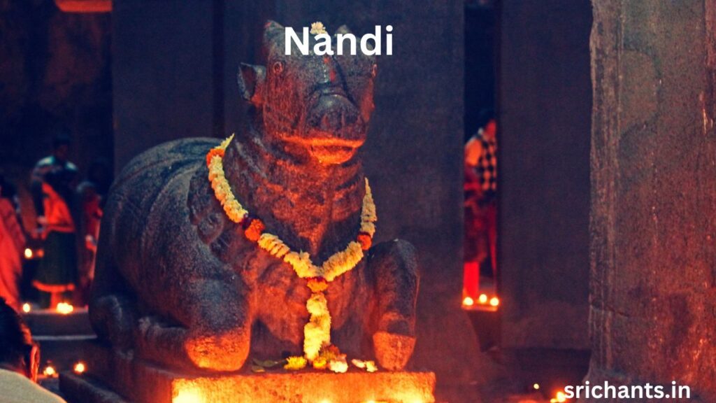 Nandi