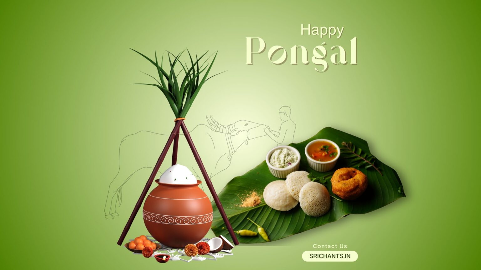 Pongal 2025 The Harvest Festival And Food